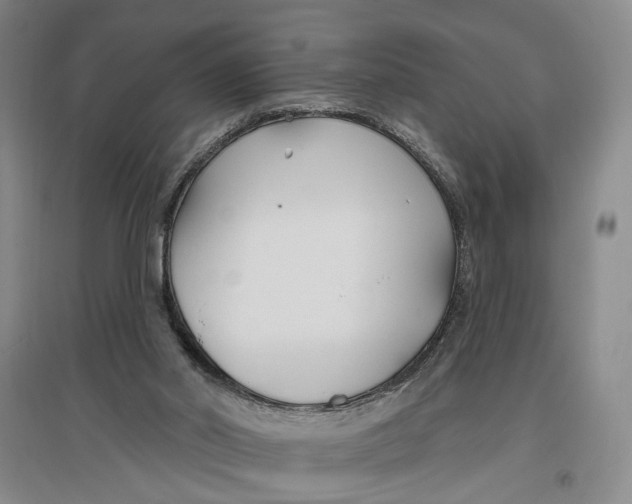 X0000096990014200802291220