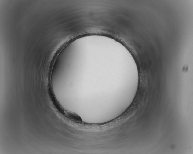 X0000096990015200802291220