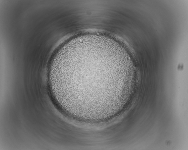 X0000096990016200802291220