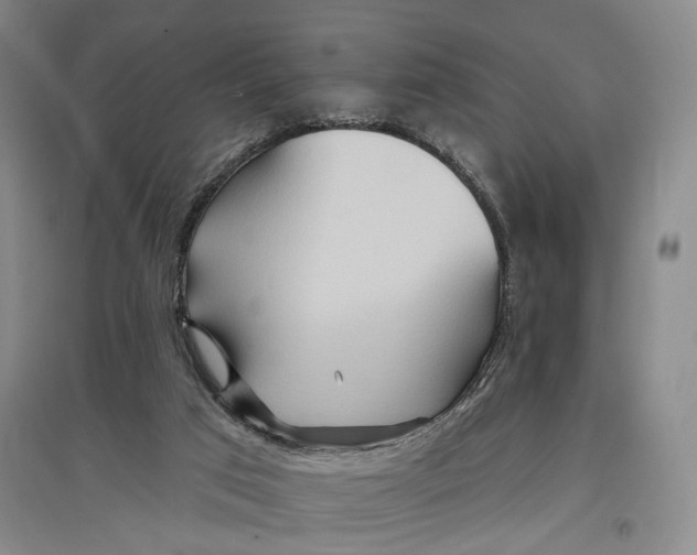 X0000096990017200802291220