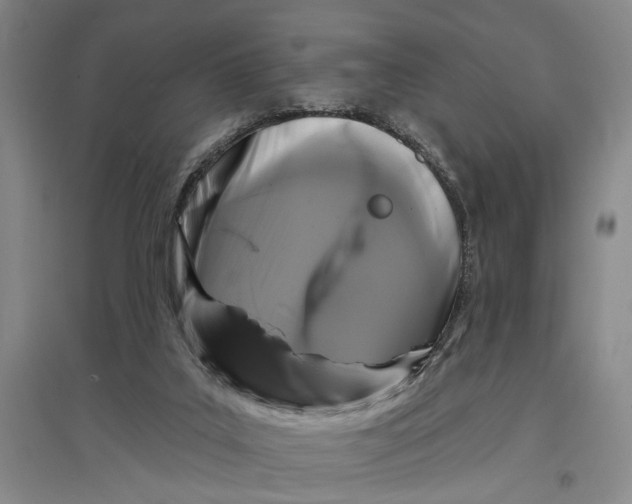 X0000096990019200802291220