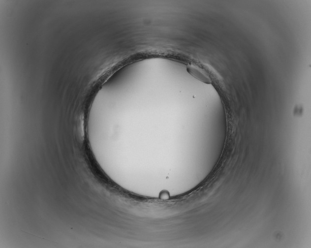 X0000096990020200802291220