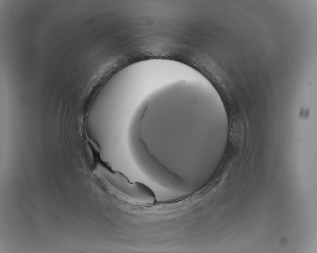 X0000096990023200802291220