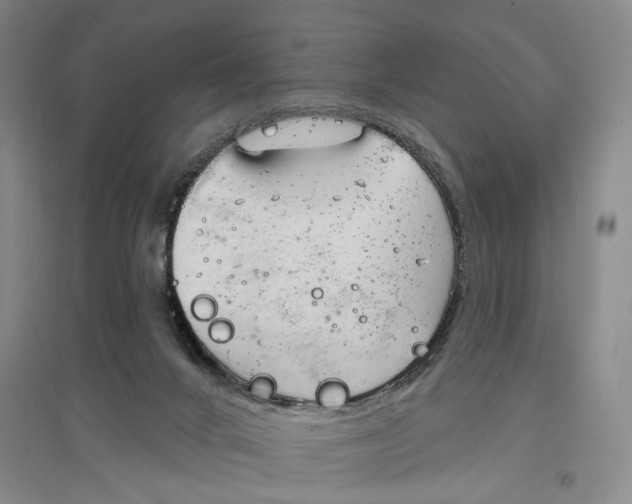 X0000096990024200802291220