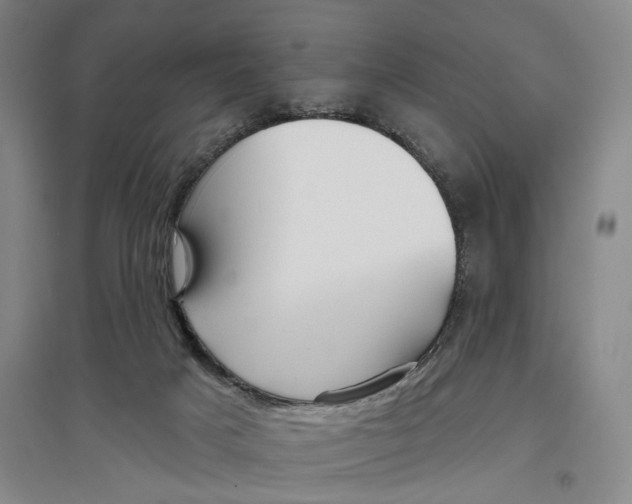 X0000096990025200802291220