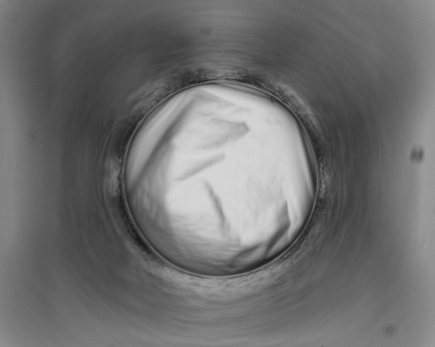 X0000096990026200802291220