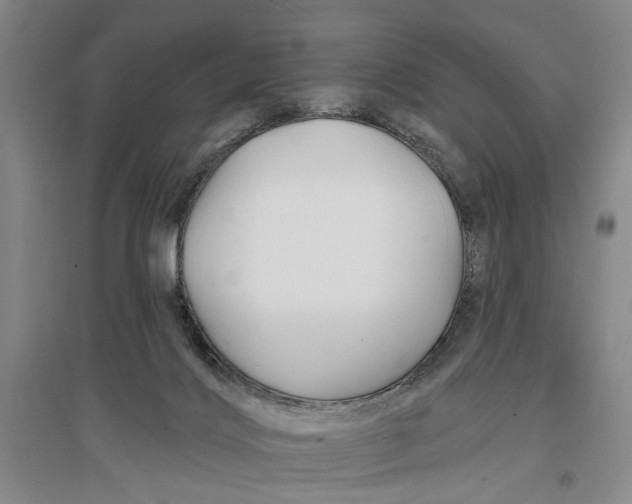 X0000096990028200802291220