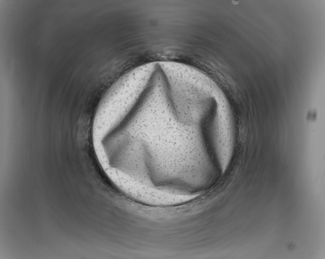 X0000096990030200802291220