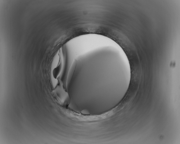 X0000096990031200802291220