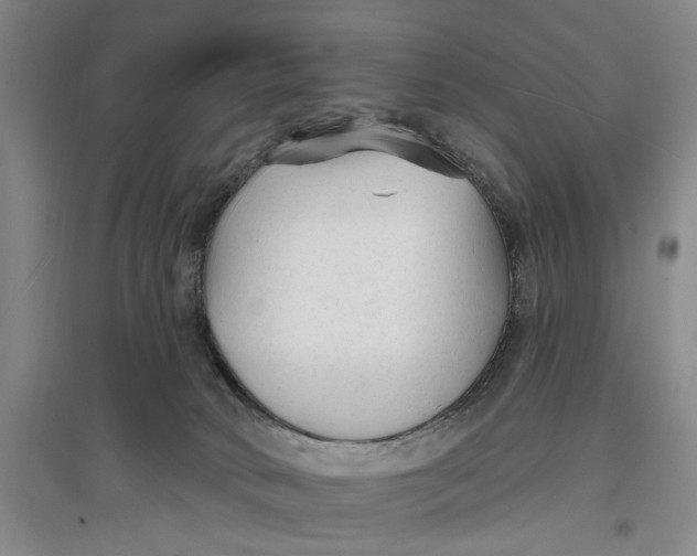 X0000096990034200802291220