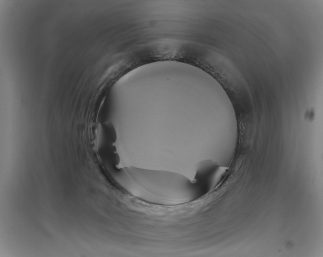 X0000096990035200802291220