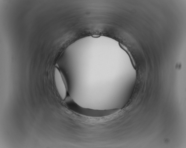 X0000096990037200802291220