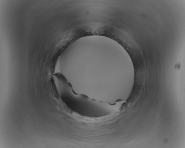 X0000096990039200802291220