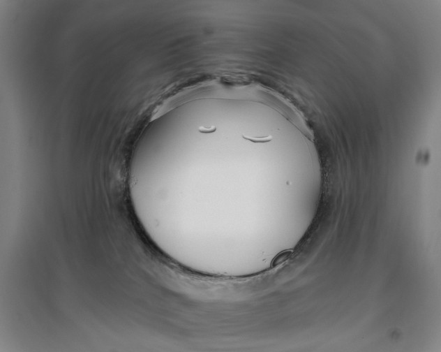 X0000096990040200802291220