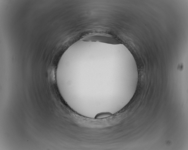 X0000096990042200802291220