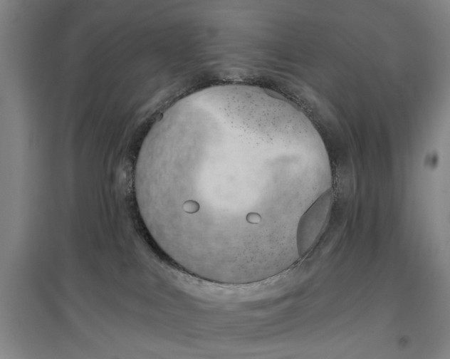 X0000096990043200802291220