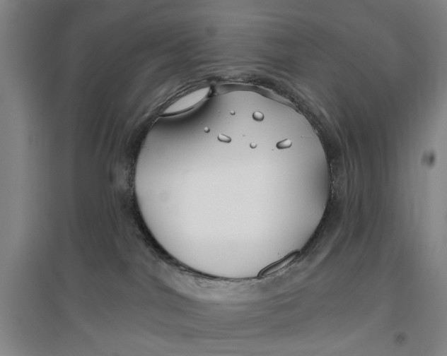 X0000096990044200802291219