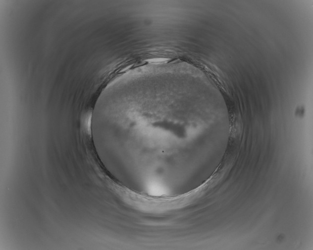 X0000096990047200802291219