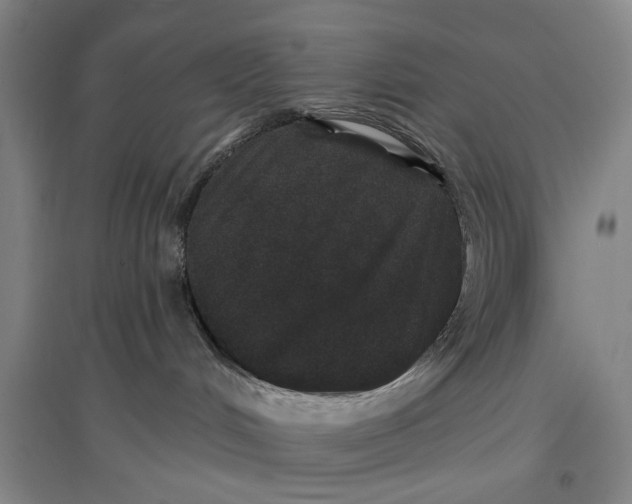 X0000096990048200802291219