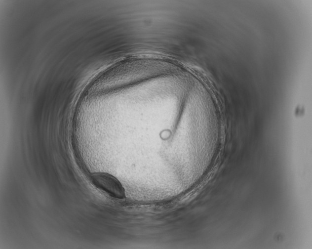 X0000096990049200802291219