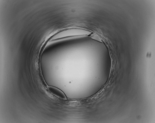 X0000096990050200802291219