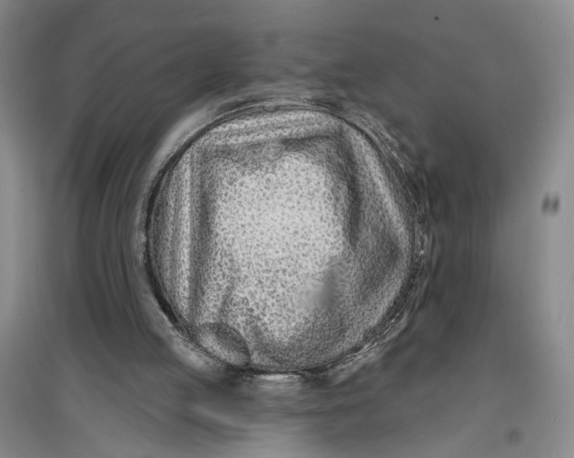 X0000096990053200802291219