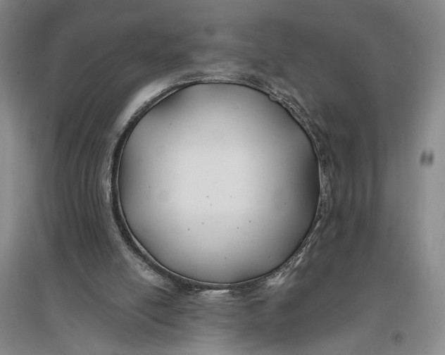 X0000096990054200802291219