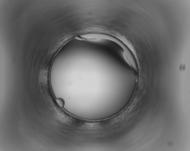 X0000096990057200802291219