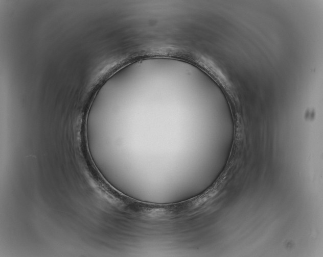 X0000096990058200802291219