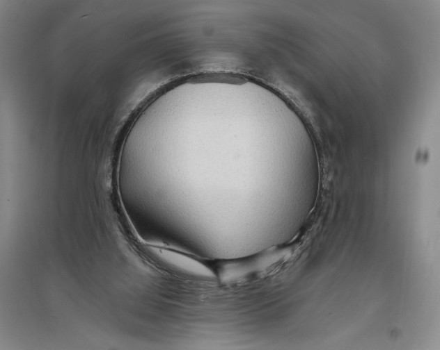 X0000096990060200802291219