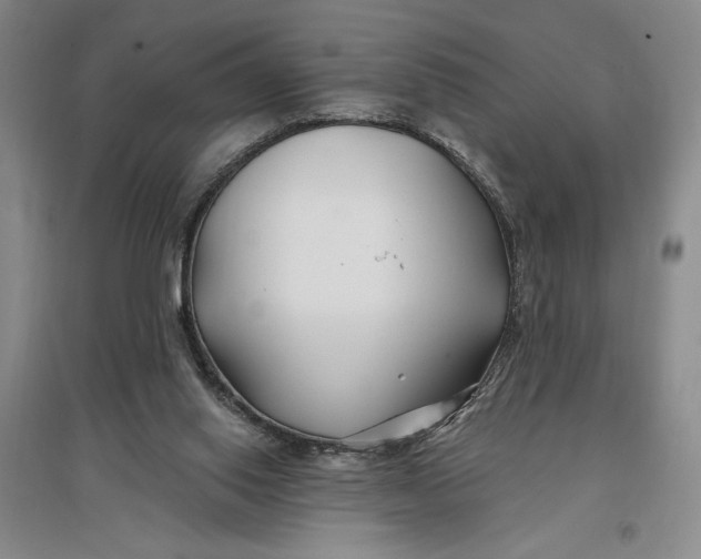 X0000096990062200802291219