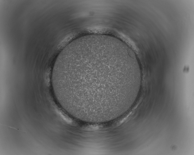 X0000096990065200802291219