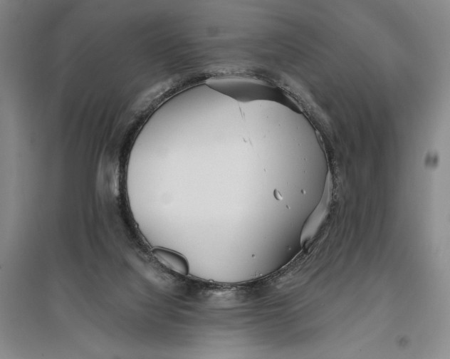 X0000096990068200802291219