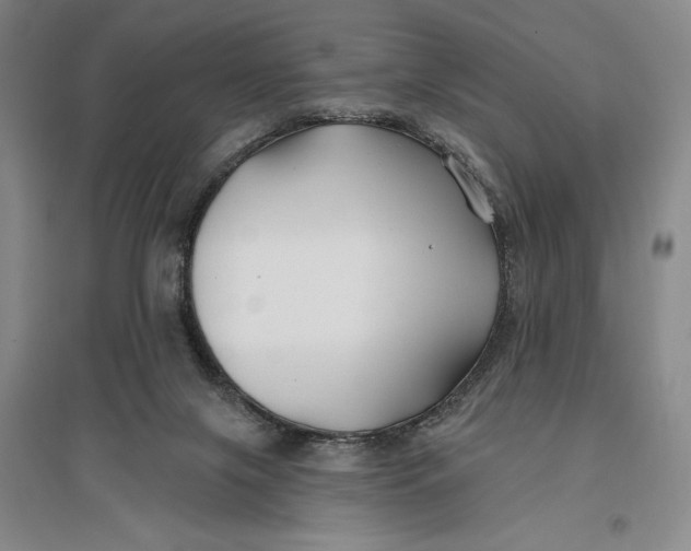 X0000096990071200802291219