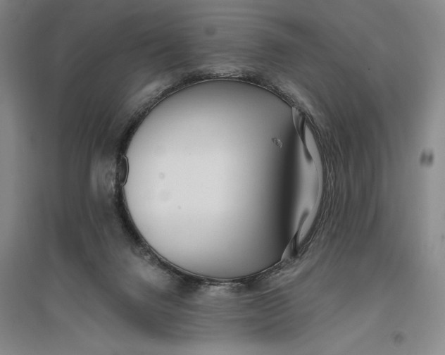 X0000096990072200802291219