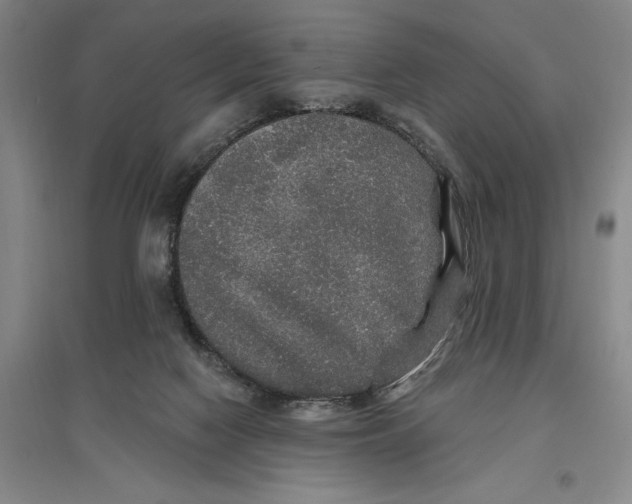 X0000096990074200802291219