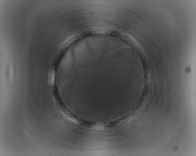 X0000096990076200802291219