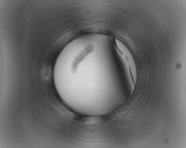 X0000096990077200802291219