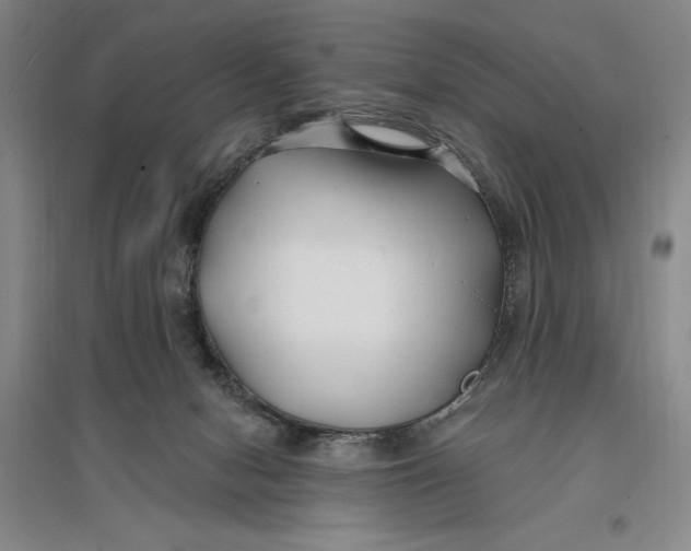 X0000096990078200802291219