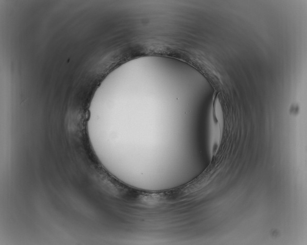 X0000096990079200802291219