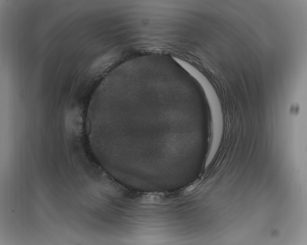 X0000096990080200802291219