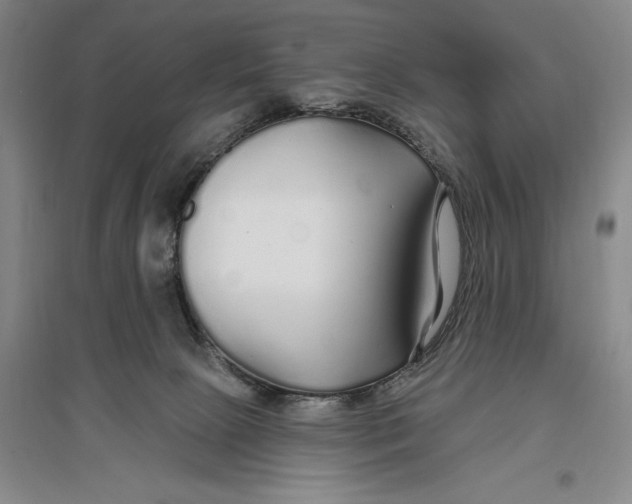 X0000096990081200802291219