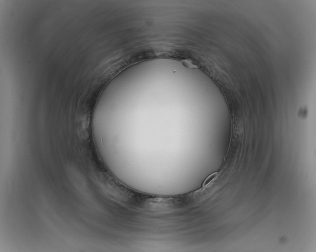 X0000096990082200802291219