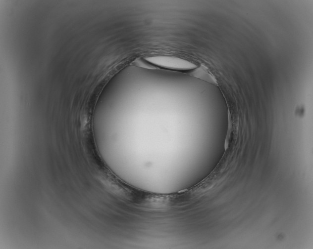 X0000096990084200802291219