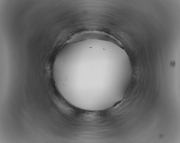 X0000096990086200802291219