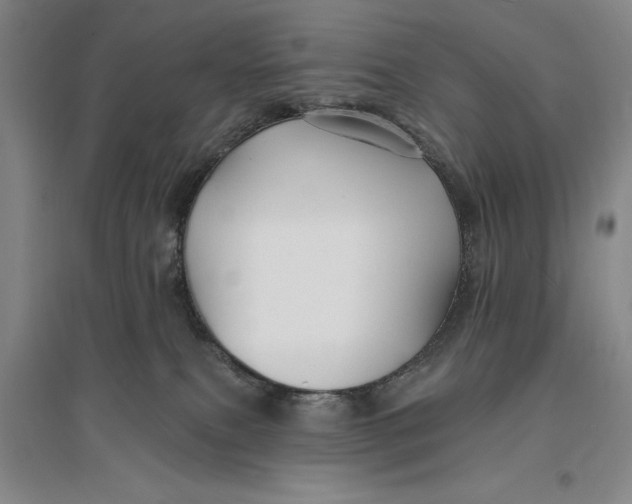 X0000096990087200802291219