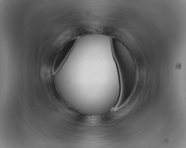 X0000096990088200802291219