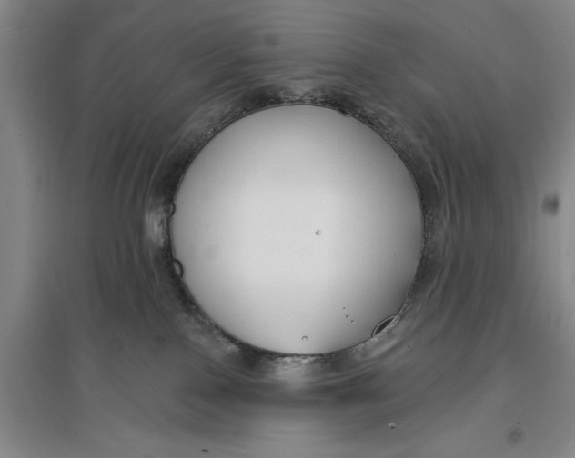 X0000096990090200802291219