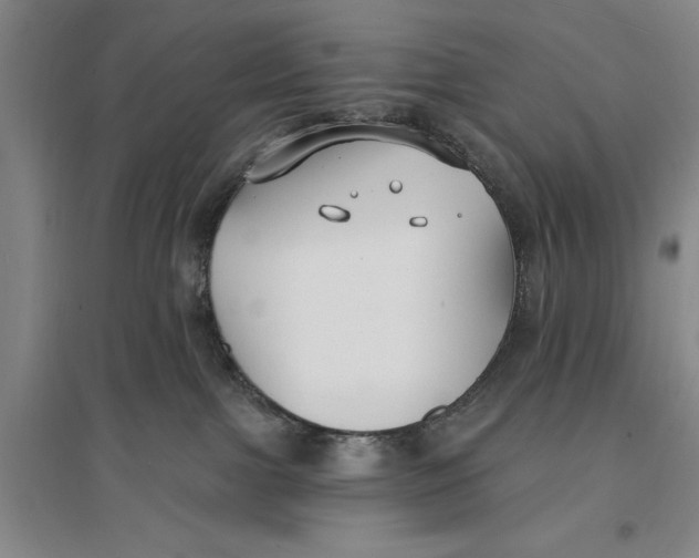 X0000096990091200802291219