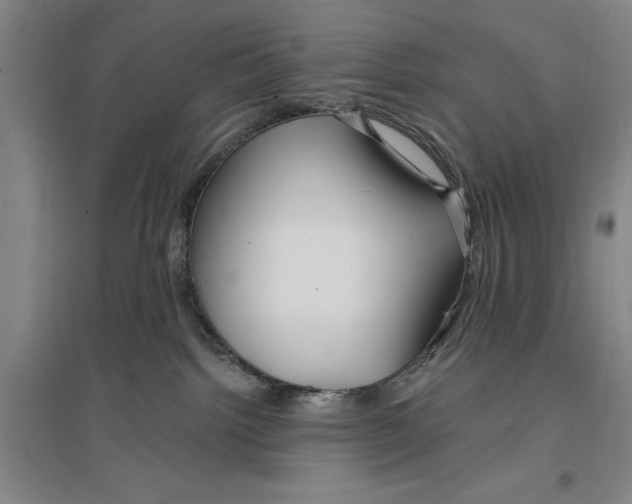 X0000096990092200802291219